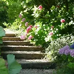 Castel De La Terrasse Bed & Breakfast Etretat