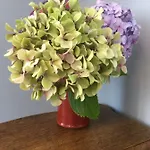 Castel De La Terrasse Bed & Breakfast Etretat