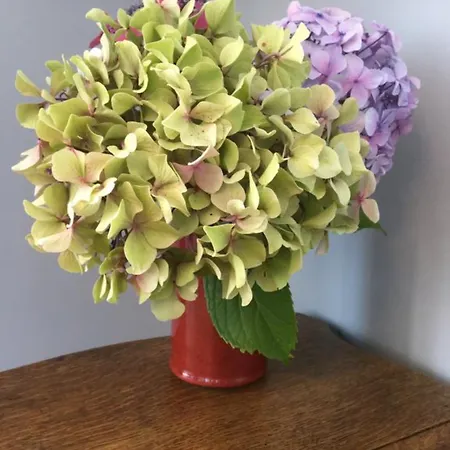 Castel De La Terrasse Étretat