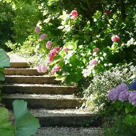 Castel De La Terrasse Bed & Breakfast Etretat