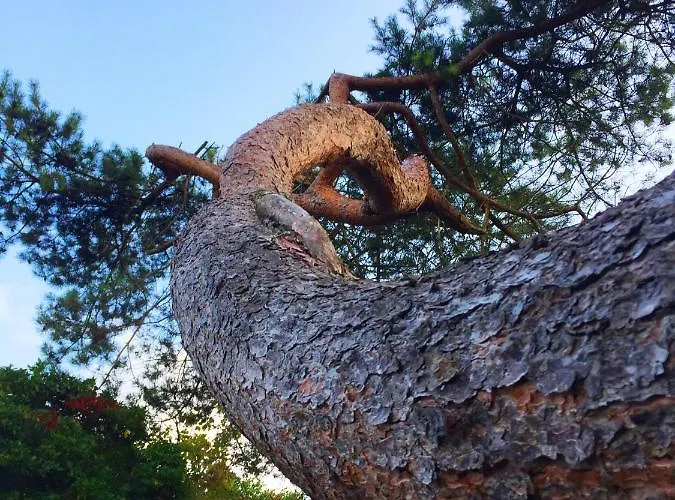 卡瑟尔德拉特拉斯住宿加早餐旅馆 住宿加早餐酒店 埃特勒塔