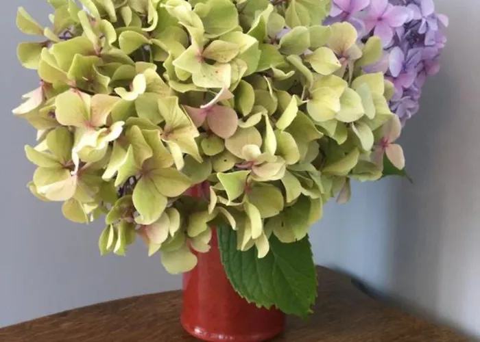 Castel De La Terrasse Этрета