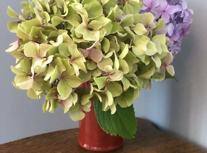 卡瑟尔德拉特拉斯住宿加早餐旅馆 住宿加早餐酒店 埃特勒塔